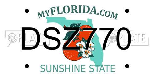 DSZ770 Florida License Plate