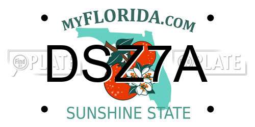 DSZ7A Florida License Plate