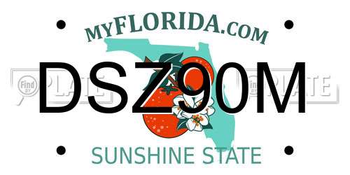 DSZ90M Florida License Plate