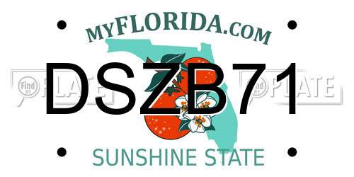 DSZB71 Florida License Plate