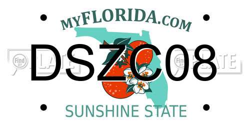 DSZC08 Florida License Plate
