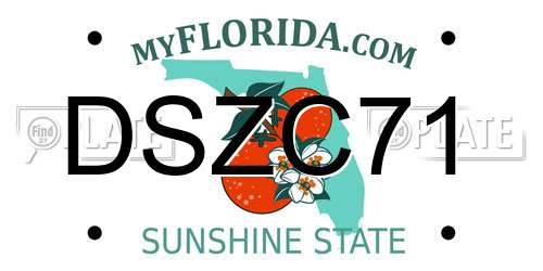 DSZC71 Florida License Plate