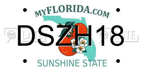 DSZH18 Florida License Plate