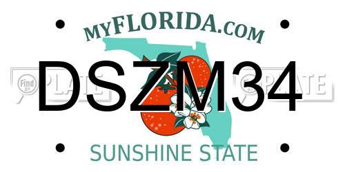 DSZM34 Florida License Plate