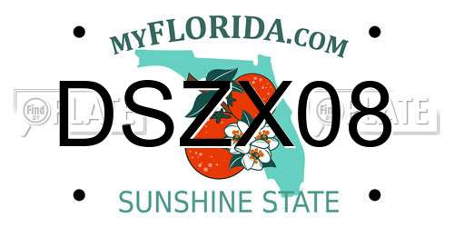 DSZX08 Florida License Plate