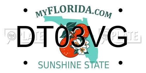 DT03VG Florida License Plate
