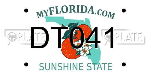 DT041 Florida License Plate