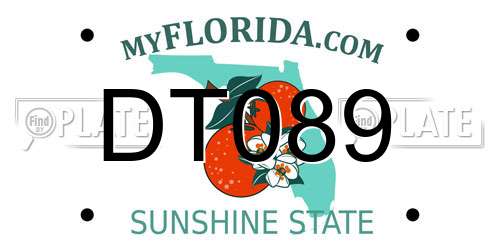 DT089 Florida License Plate
