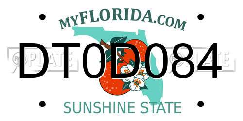 DT0D084 Florida License Plate