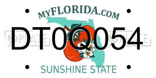 DT0Q054 Florida License Plate