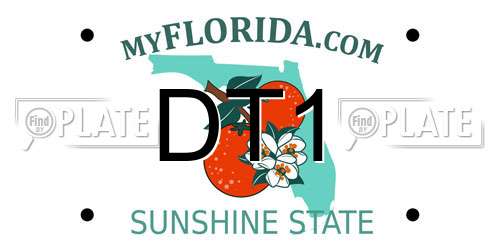 DT1 Florida License Plate