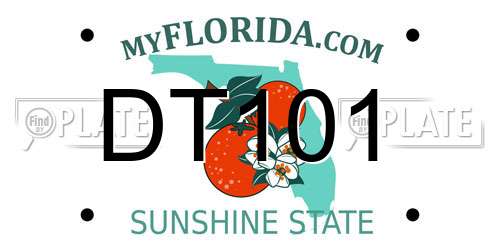 DT101 Florida License Plate