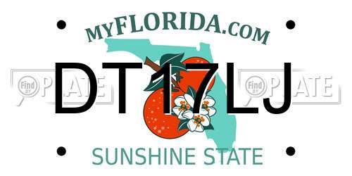 DT17LJ Florida License Plate
