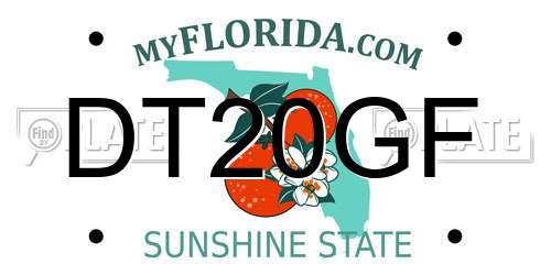 DT20GF Florida License Plate