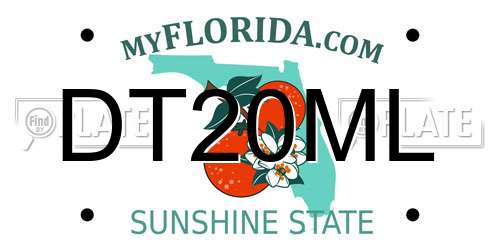 DT20ML Florida License Plate
