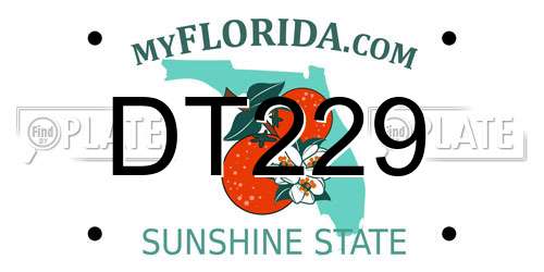 DT229 Florida License Plate