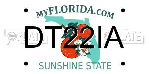 DT22IA Florida License Plate