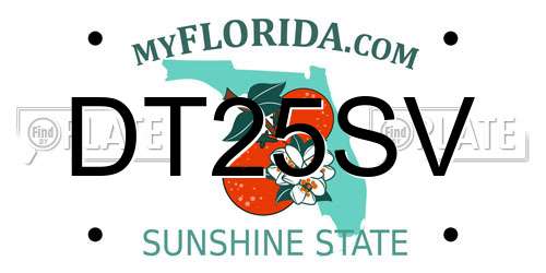 DT25SV Florida License Plate