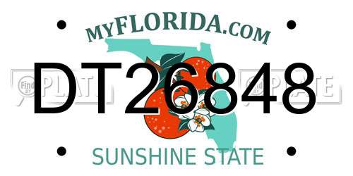DT26848 Florida License Plate