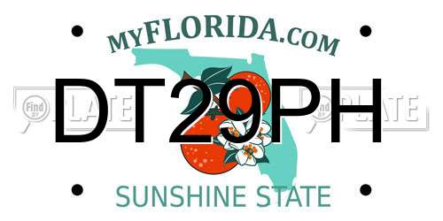 DT29PH Florida License Plate