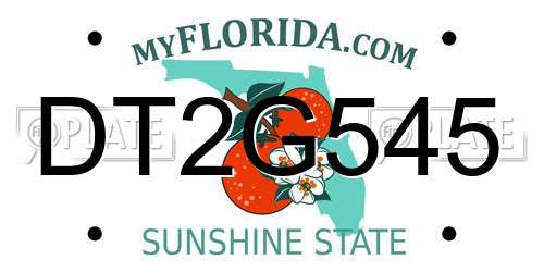 DT2G545 Florida License Plate