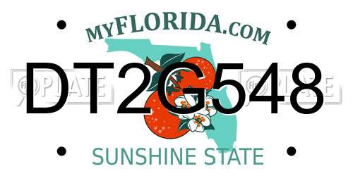 DT2G548 Florida License Plate