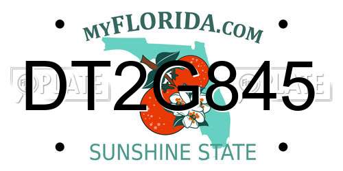 DT2G845 Florida License Plate
