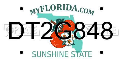 DT2G848 Florida License Plate