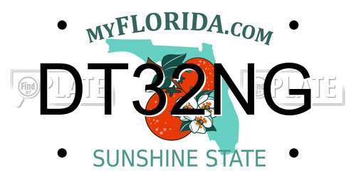 DT32NG Florida License Plate
