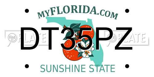 DT35PZ Florida License Plate