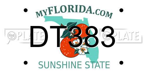 DT383 Florida License Plate