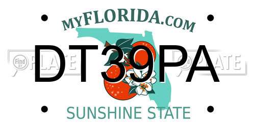 DT39PA Florida License Plate