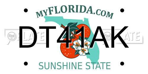 DT41AK Florida License Plate