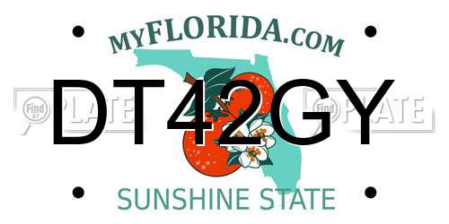 DT42GY Florida License Plate