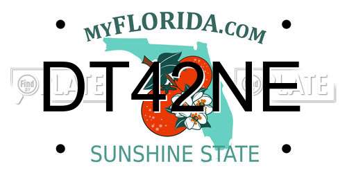 DT42NE Florida License Plate