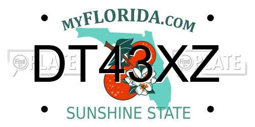 DT43XZ Florida License Plate