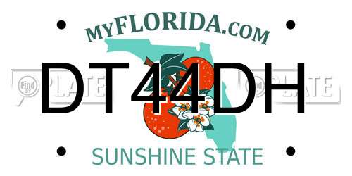 DT44DH Florida License Plate