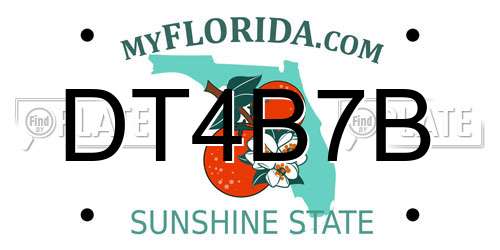 DT4B7B Florida License Plate