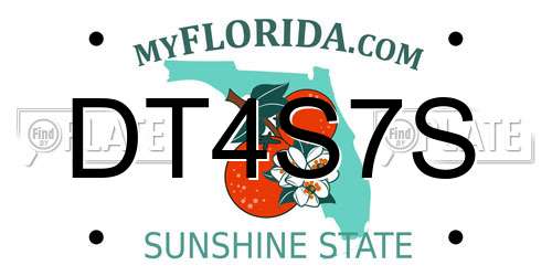 DT4S7S Florida License Plate