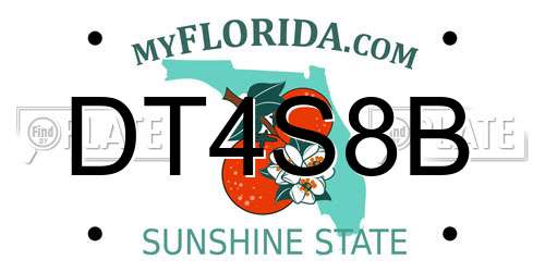 DT4S8B Florida License Plate
