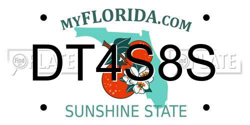 DT4S8S Florida License Plate