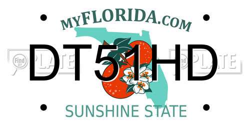 DT51HD Florida License Plate