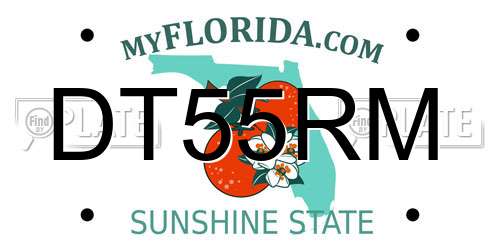 DT55RM Florida License Plate