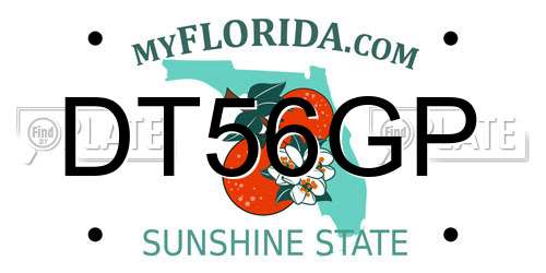 DT56GP Florida License Plate