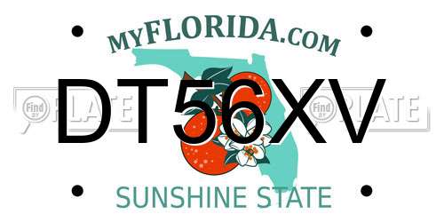 DT56XV Florida License Plate