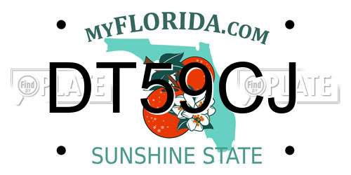 DT59CJ Florida License Plate