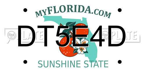 DT5E4D Florida License Plate