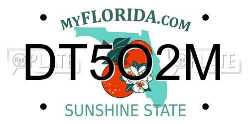DT5O2M Florida License Plate