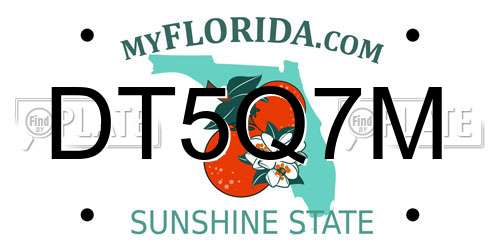 DT5Q7M Florida License Plate