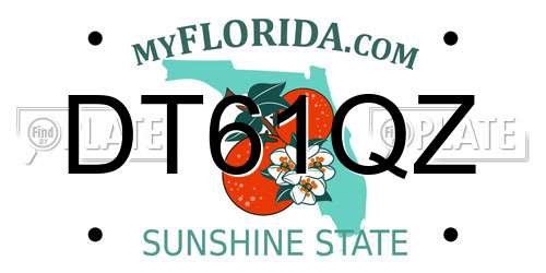 DT61QZ Florida License Plate